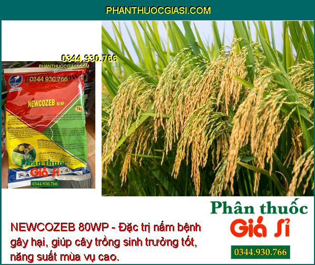 NEWCOZEB 80WP - Đặc Trị Nấm Bệnh - Thán Thư - Héo Xanh - Lem Lép Hạt