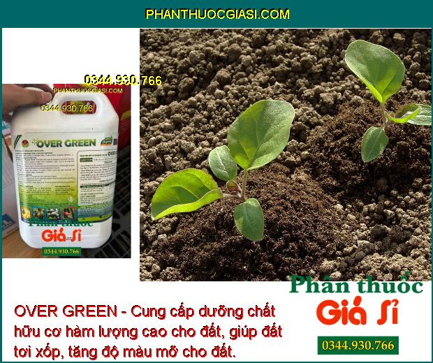 OVER GREEN - Kích Ra Rễ - Trái Lớn Đều - Cây Xanh Bền - Đất Tơi Xốp - Phục Hồi Cây