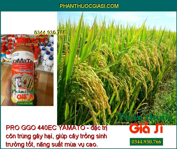 PRO GGO 440EC YAMATO - Đặc Trị Rầy Nâu - Rệp Sáp - Sùng Hà - Mọt Đục Cành