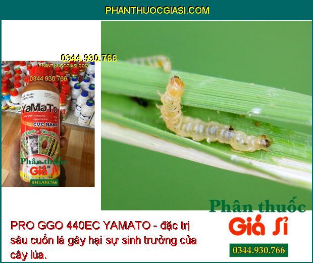 PRO GGO 440EC YAMATO - Đặc Trị Rầy Nâu - Rệp Sáp - Sùng Hà - Mọt Đục Cành