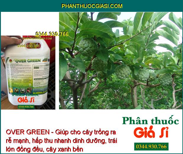 OVER GREEN - Kích Ra Rễ - Trái Lớn Đều - Cây Xanh Bền - Đất Tơi Xốp - Phục Hồi Cây