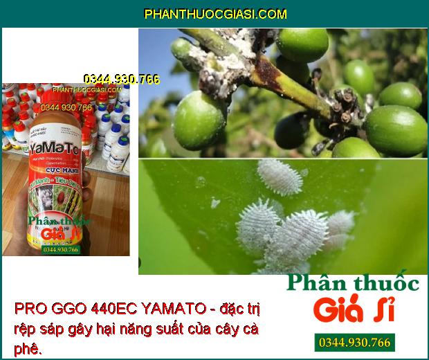 PRO GGO 440EC YAMATO - Đặc Trị Rầy Nâu - Rệp Sáp - Sùng Hà - Mọt Đục Cành