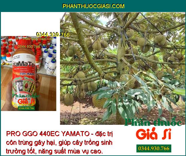 PRO GGO 440EC YAMATO - Đặc Trị Rầy Nâu - Rệp Sáp - Sùng Hà - Mọt Đục Cành