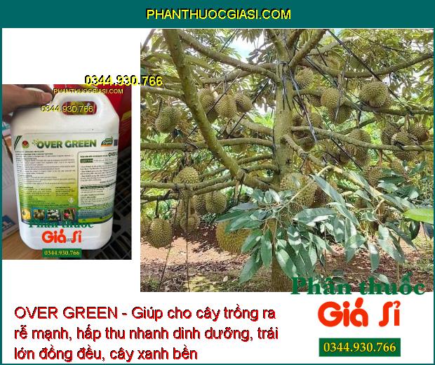 OVER GREEN - Kích Ra Rễ - Trái Lớn Đều - Cây Xanh Bền - Đất Tơi Xốp - Phục Hồi Cây