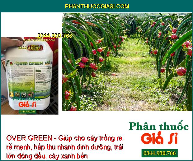 OVER GREEN - Kích Ra Rễ - Trái Lớn Đều - Cây Xanh Bền - Đất Tơi Xốp - Phục Hồi Cây