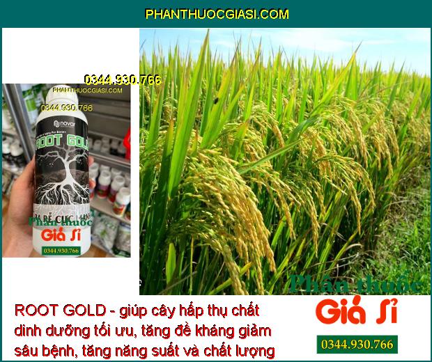 ROOT GOLD - Kích Rễ Phát Triển - Chống Chịu Khô Hạn - Cải Tạo Đất - Tăng Đề Kháng Sâu Bệnh