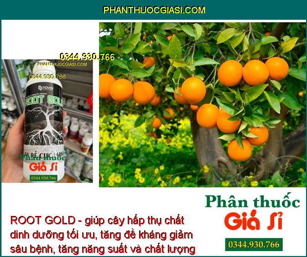 ROOT GOLD - Kích Rễ Phát Triển - Chống Chịu Khô Hạn - Cải Tạo Đất - Tăng Đề Kháng Sâu Bệnh