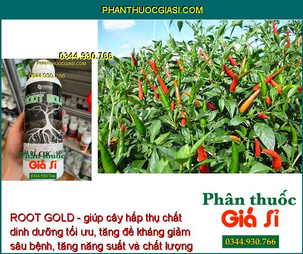 ROOT GOLD - Kích Rễ Phát Triển - Chống Chịu Khô Hạn - Cải Tạo Đất - Tăng Đề Kháng Sâu Bệnh