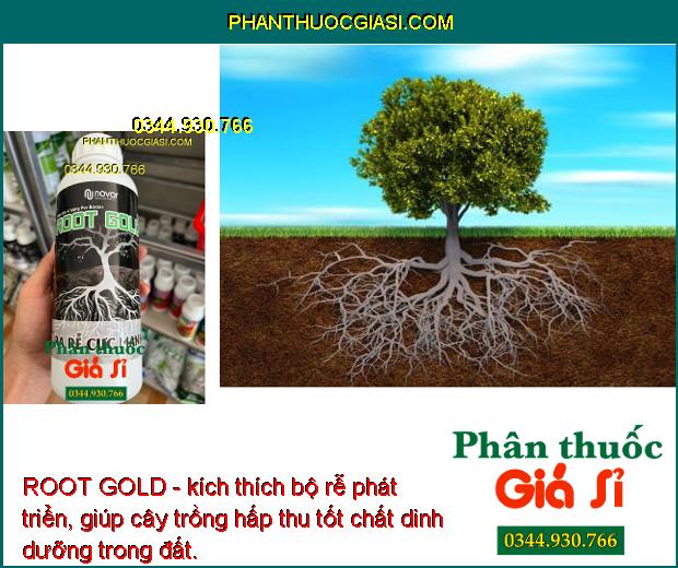 ROOT GOLD - Kích Rễ Phát Triển - Chống Chịu Khô Hạn - Cải Tạo Đất - Tăng Đề Kháng Sâu Bệnh