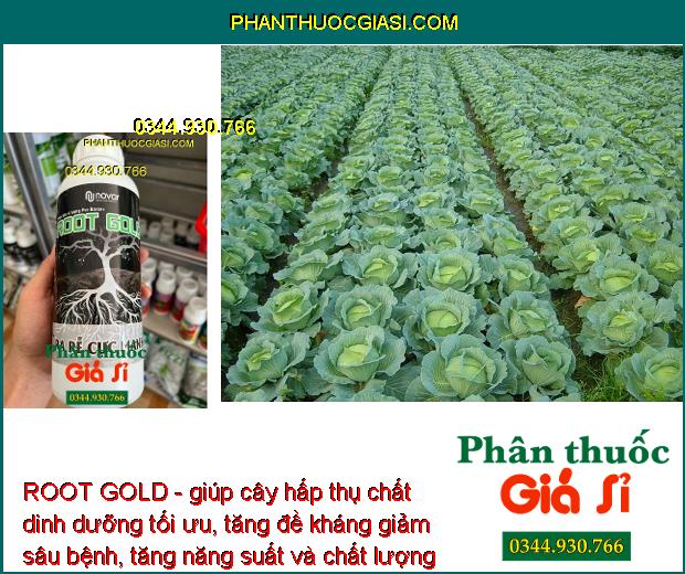 ROOT GOLD - Kích Rễ Phát Triển - Chống Chịu Khô Hạn - Cải Tạo Đất - Tăng Đề Kháng Sâu Bệnh