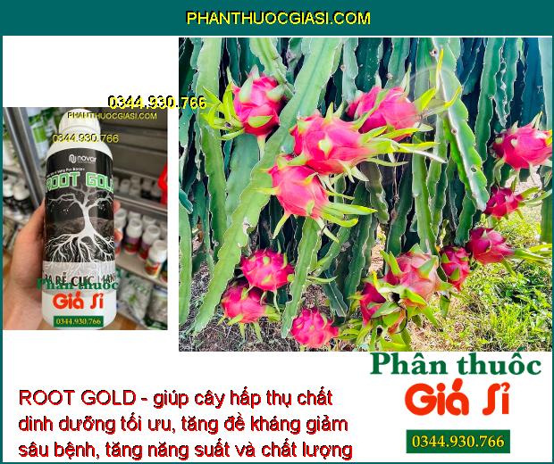 ROOT GOLD - Kích Rễ Phát Triển - Chống Chịu Khô Hạn - Cải Tạo Đất - Tăng Đề Kháng Sâu Bệnh