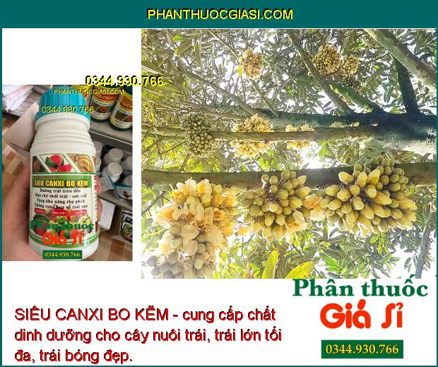 SIÊU CANXI BO KẼM - Dưỡng Trái Tròn Đều - Tăng Độ Ngọt - Hạn Chế Thối Trái - Rụng Hoa