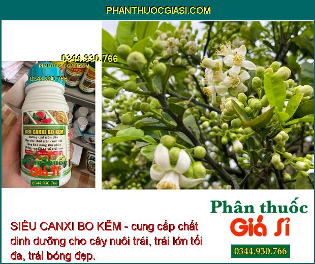 SIÊU CANXI BO KẼM - Dưỡng Trái Tròn Đều - Tăng Độ Ngọt - Hạn Chế Thối Trái - Rụng Hoa