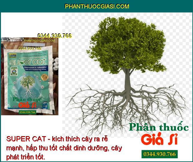 SUPER CAT - Ra Rễ Mạnh - Kích Chồi - Phát Bông - Nuôi Trái - Tăng Sức Chịu Hạn