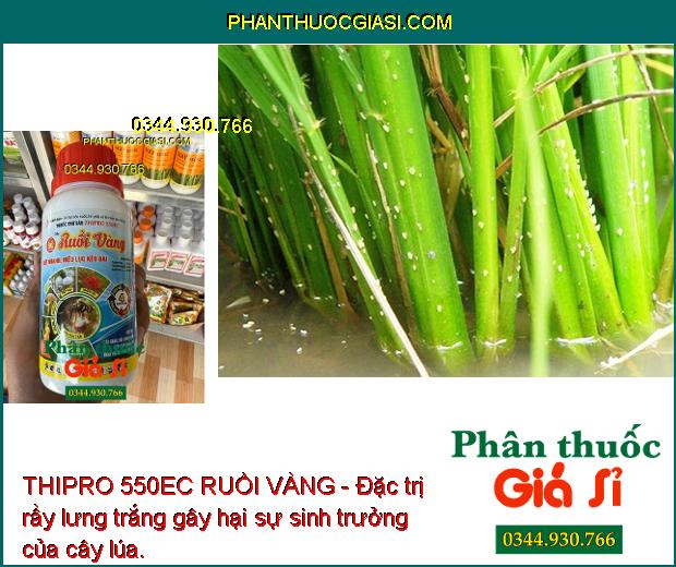 THIPRO 550EC RUỒI VÀNG - Đặc Trị Rầy Lưng Trắng - Rệp Sáp - Nhện Đỏ - Ruồi Vàng - Sâu Đục Trái