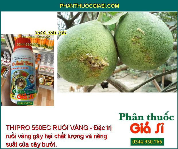 THIPRO 550EC RUỒI VÀNG - Đặc Trị Rầy Lưng Trắng - Rệp Sáp - Nhện Đỏ - Ruồi Vàng - Sâu Đục Trái