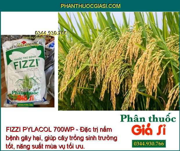 FIZZI PYLACOL 700WP - Đặc Trị Đốm Lá - Thán Thư - Đốm Nâu - Đạo Ôn - Héo Xanh