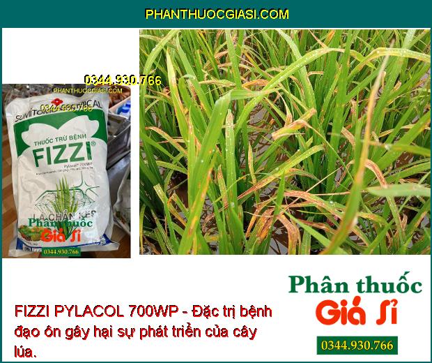 FIZZI PYLACOL 700WP - Đặc Trị Đốm Lá - Thán Thư - Đốm Nâu - Đạo Ôn - Héo Xanh