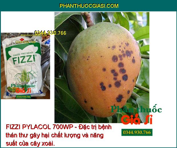 FIZZI PYLACOL 700WP - Đặc Trị Đốm Lá - Thán Thư - Đốm Nâu - Đạo Ôn - Héo Xanh