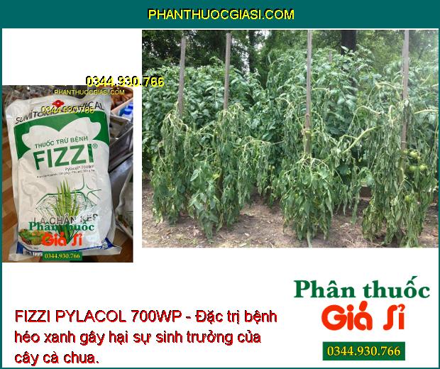 FIZZI PYLACOL 700WP - Đặc Trị Đốm Lá - Thán Thư - Đốm Nâu - Đạo Ôn - Héo Xanh