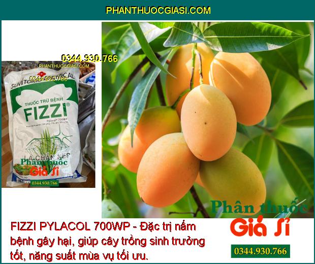 FIZZI PYLACOL 700WP - Đặc Trị Đốm Lá - Thán Thư - Đốm Nâu - Đạo Ôn - Héo Xanh