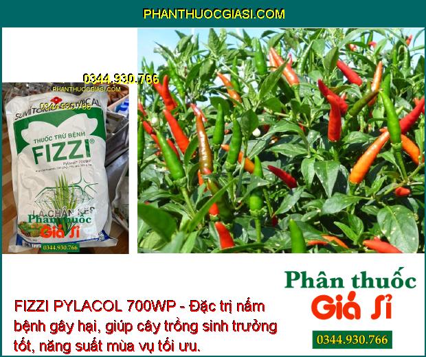 FIZZI PYLACOL 700WP - Đặc Trị Đốm Lá - Thán Thư - Đốm Nâu - Đạo Ôn - Héo Xanh