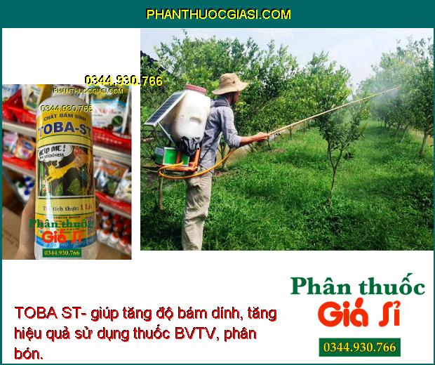 TOBA ST- Tăng Độ Bám Dính- Tăng Hiệu Quả Sử Dụng Thuốc- Hạn Chế Trôi Thuốc