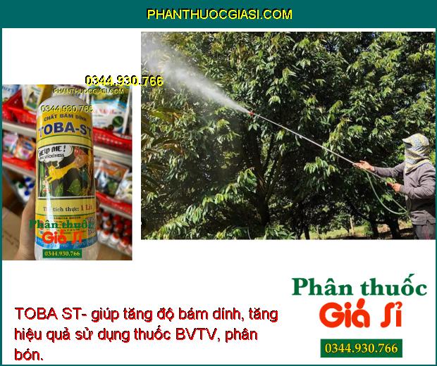 TOBA ST- Tăng Độ Bám Dính- Tăng Hiệu Quả Sử Dụng Thuốc- Hạn Chế Trôi Thuốc