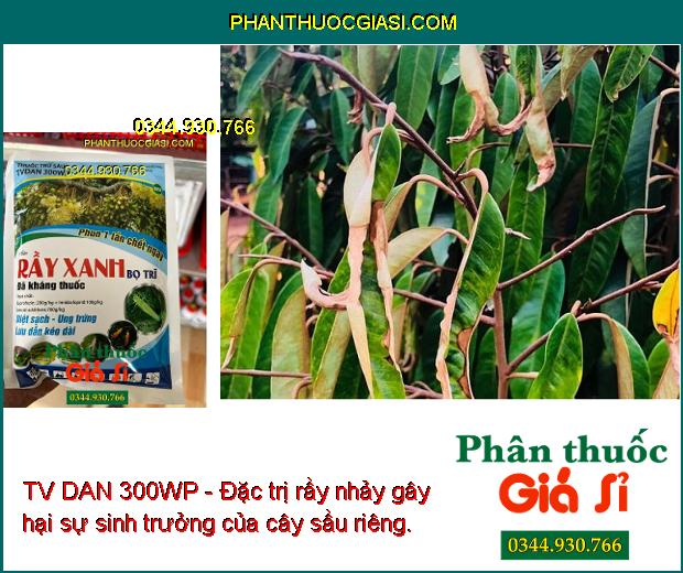 TV DAN 300WP - Đặc Trị Rầy Nâu - Bọ Trĩ - Bọ Xít Muỗi- Rầy Chổng Cánh