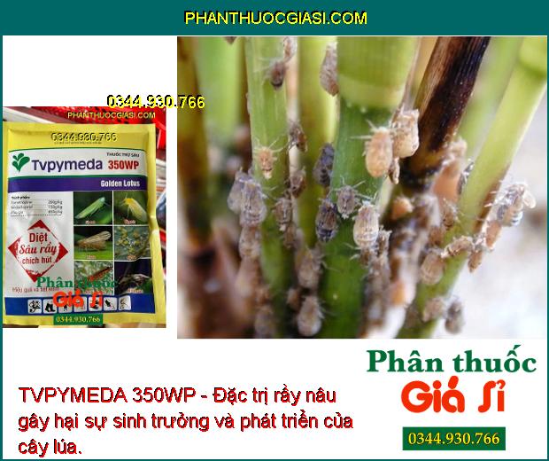 TVPYMEDA 350WP - Đặc Trị Rầy Xanh - Rầy Nâu - Bọ Trĩ - Sâu Vẽ Bùa - Rệp Sáp