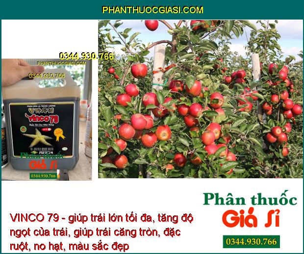 VINCO 79 - Kích Ra Rễ - Bung Chồi - Phát Hoa - Tăng Đậu Trái - Hạn Chế Rụng Hoa - Trái Non