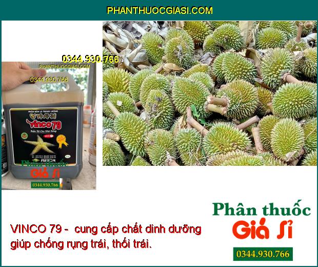 VINCO 79 - Kích Ra Rễ - Bung Chồi - Phát Hoa - Tăng Đậu Trái - Hạn Chế Rụng Hoa - Trái Non