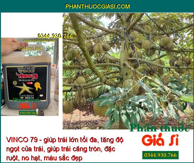 VINCO 79 - Kích Ra Rễ - Bung Chồi - Phát Hoa - Tăng Đậu Trái - Hạn Chế Rụng Hoa - Trái Non