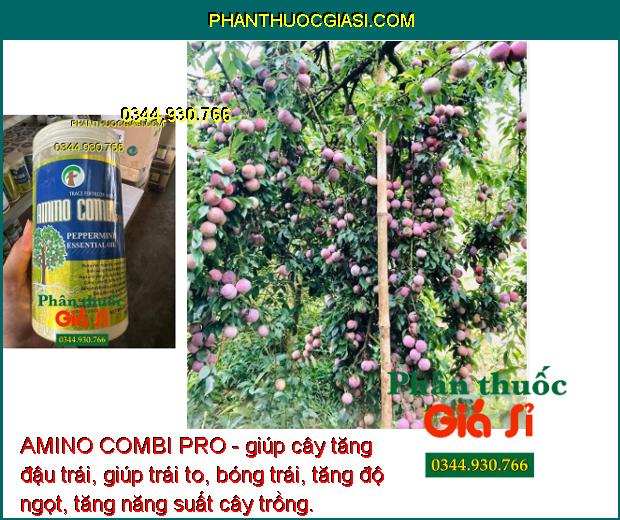 AMINO COMBI PRO - Bung Đọt - Đâm Chồi - Hạn Chế Sâu Bệnh - Tăng Đậu Trái