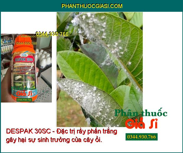 DESPAK 30SC - Đặc Trị Bọ Phấn - Bọ Trĩ - Rầy Xanh - Rầy Chổng Cánh