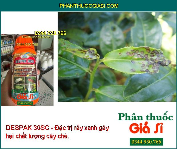 DESPAK 30SC - Đặc Trị Bọ Phấn - Bọ Trĩ - Rầy Xanh - Rầy Chổng Cánh