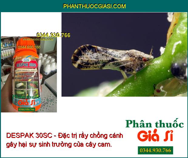 DESPAK 30SC - Đặc Trị Bọ Phấn - Bọ Trĩ - Rầy Xanh - Rầy Chổng Cánh