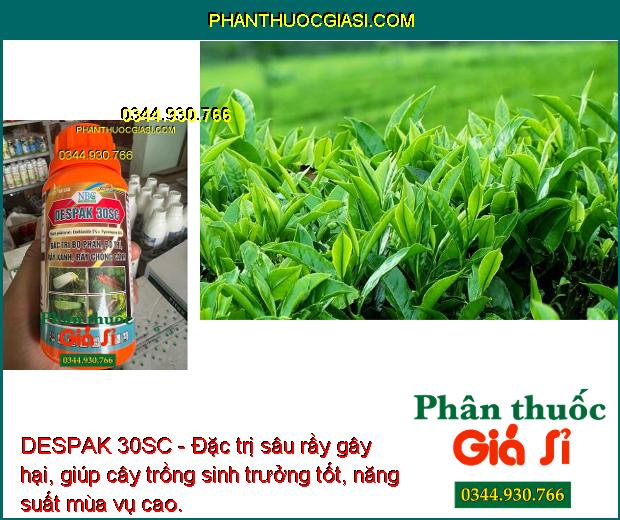 DESPAK 30SC - Đặc Trị Bọ Phấn - Bọ Trĩ - Rầy Xanh - Rầy Chổng Cánh