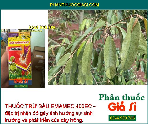 THUỐC TRỪ SÂU EMAMEC 400EC – DIỆT NHỆN HOA KỲ – DIỆT NHỆN TẬN GỐC – SẠCH LUÔN TRỨNG NHỆN