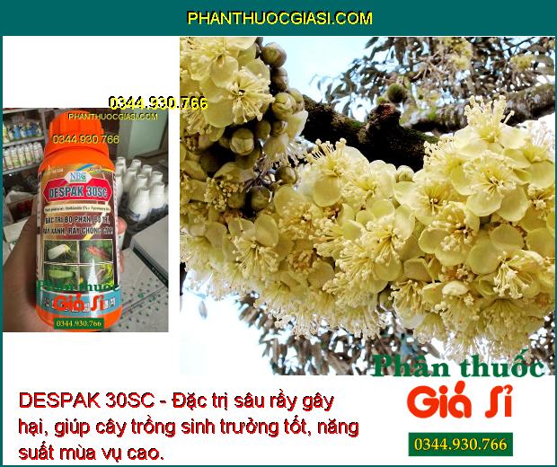 DESPAK 30SC - Đặc Trị Bọ Phấn - Bọ Trĩ - Rầy Xanh - Rầy Chổng Cánh