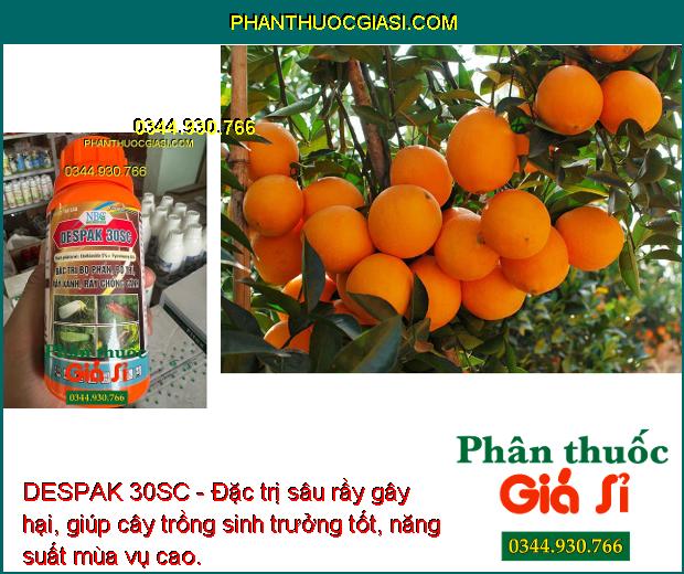 DESPAK 30SC - Đặc Trị Bọ Phấn - Bọ Trĩ - Rầy Xanh - Rầy Chổng Cánh