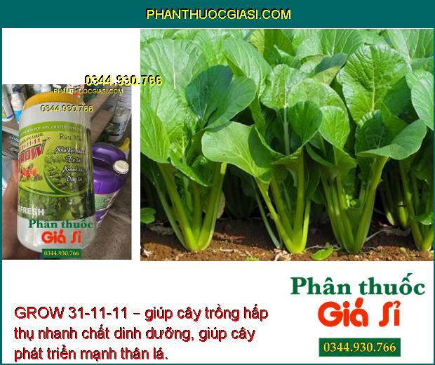 GROW 31-11-11 – Lá Xanh Mướt - Nhú Đọt Nhanh - Tăng Năng Suất - To Trái