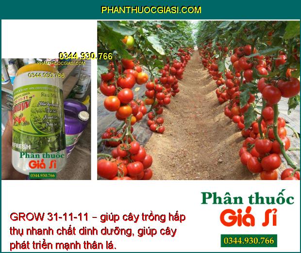 GROW 31-11-11 – Lá Xanh Mướt - Nhú Đọt Nhanh - Tăng Năng Suất - To Trái