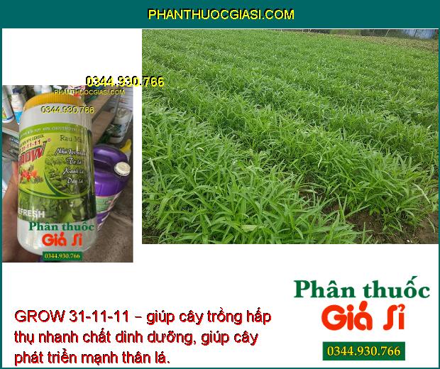 GROW 31-11-11 – Lá Xanh Mướt - Nhú Đọt Nhanh - Tăng Năng Suất - To Trái