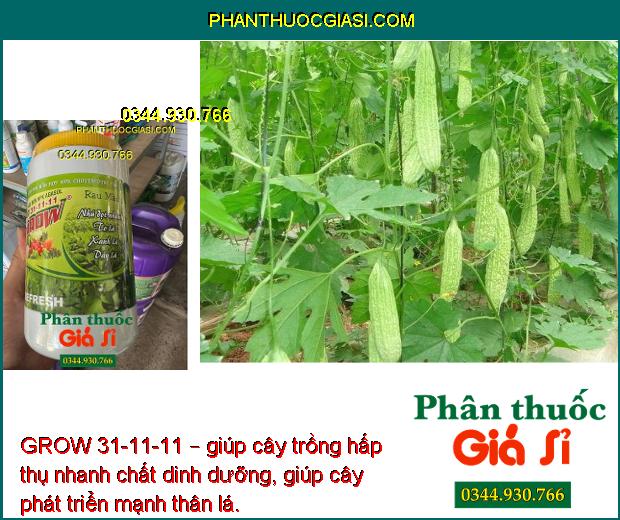 GROW 31-11-11 – Lá Xanh Mướt - Nhú Đọt Nhanh - Tăng Năng Suất - To Trái