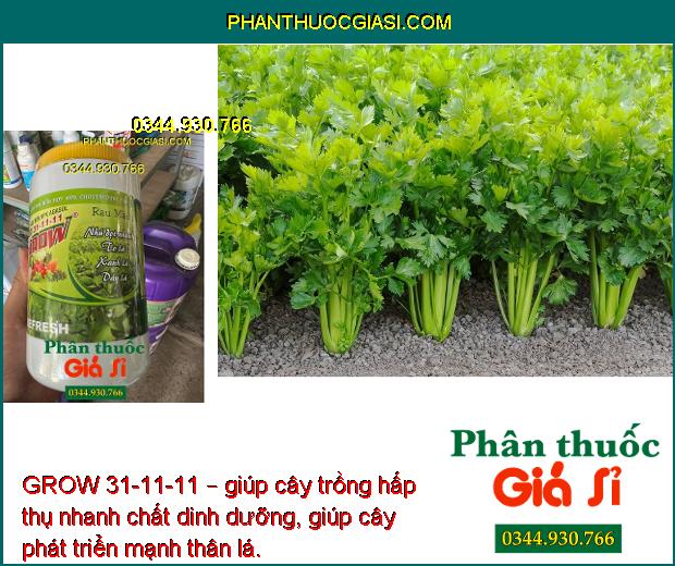 GROW 31-11-11 – Lá Xanh Mướt - Nhú Đọt Nhanh - Tăng Năng Suất - To Trái