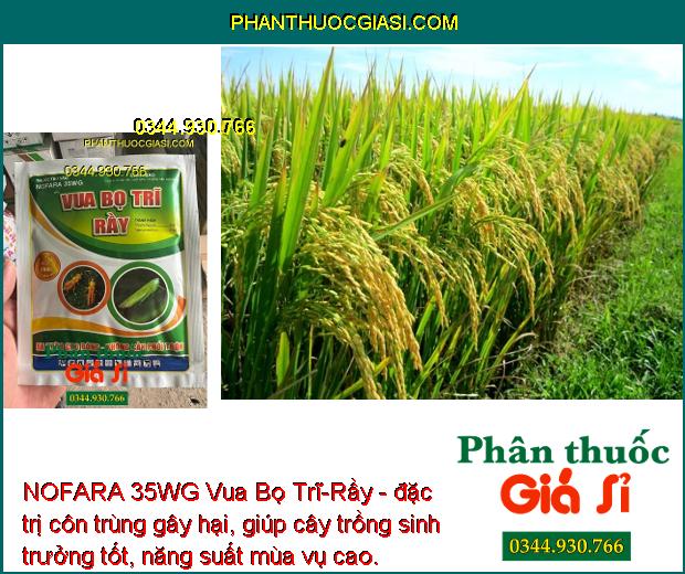 NOFARA 35WG Vua Bọ Trĩ-Rầy - Đặc Trị Ruồi Đục Quả - Sâu Vẽ Bùa - Bướm Trắng