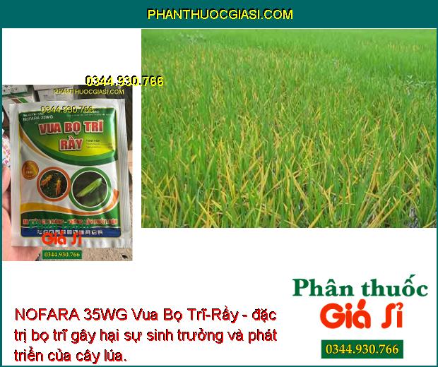 NOFARA 35WG Vua Bọ Trĩ-Rầy - Đặc Trị Ruồi Đục Quả - Sâu Vẽ Bùa - Bướm Trắng