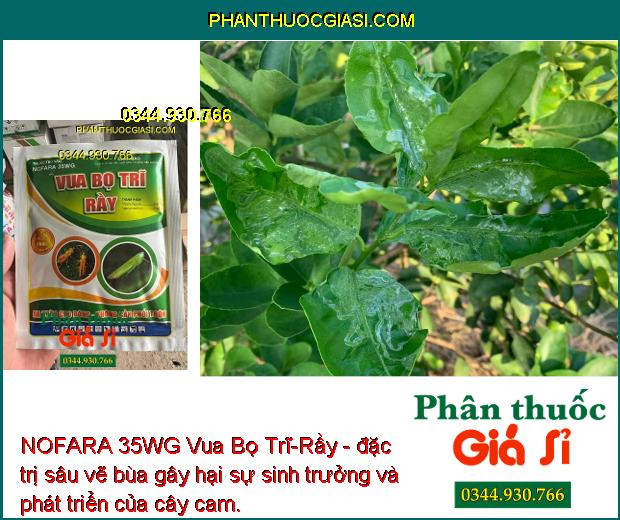 NOFARA 35WG Vua Bọ Trĩ-Rầy - Đặc Trị Ruồi Đục Quả - Sâu Vẽ Bùa - Bướm Trắng