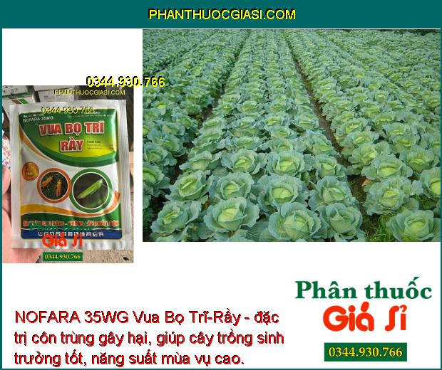 NOFARA 35WG Vua Bọ Trĩ-Rầy - Đặc Trị Ruồi Đục Quả - Sâu Vẽ Bùa - Bướm Trắng